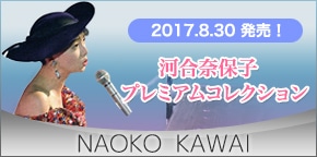 河合奈保子 プレミアムコレクション