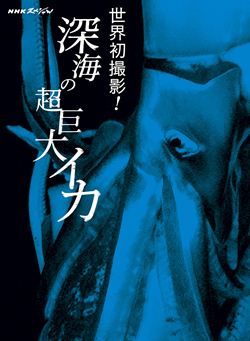 NHKスペシャル 世界遺産 平泉 金色堂の謎を追う: 商品カテゴリー | CD