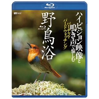 日本百鳴鳥 202 にほんひゃくめいちょう／映像と鳴き声で愉しむ野鳥 