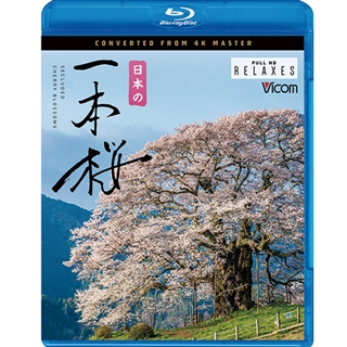さくら 春を彩る 華やかな桜のある風景 【Blu-ray Disc】　(shin