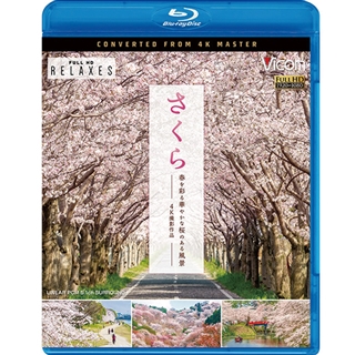 さくら 春を彩る華やかな桜のある風景 4K撮影作品【ブルーレイ】: 商品カテゴリー |  CD/DVD/Blu-ray/レコード/グッズの通販サイト【コロムビアミュージックショップ】
