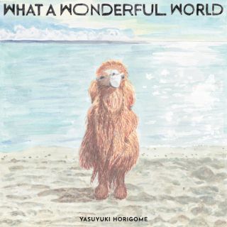 What A Wonderful World（CD）: 商品カテゴリー | 堀込泰行 | CD