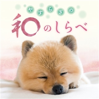和モノ A to Z presents GROOVY 和物SUMMIT Columbia Rare